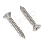 Two close-up stainless steel screws with a conical head and a Phillips-head drive.