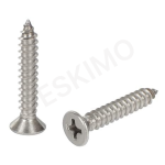 Two stainless steel screws for wall fixing, one standing upright and the other lying on its side, both showing a Phillips-head drive.